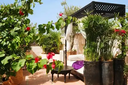 Riad Dar El Souk - 8