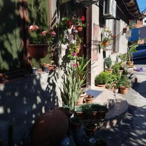 Guesthouse Gia - 14