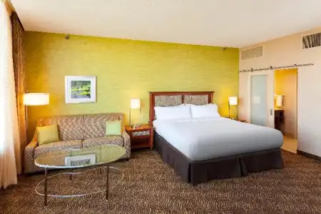 Holiday Inn AUSTIN-TOWN LAKE by IHG - 75