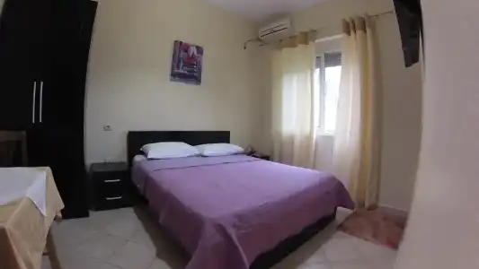 4 Stinet - 20