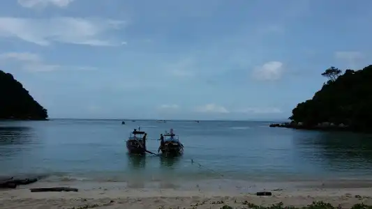 PP Red Tuna Hut - 15