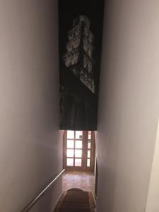 Villa Diana - 12