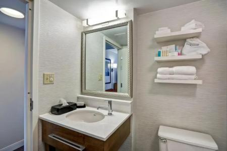 Hampton Inn Norfolk-Naval Base - 41