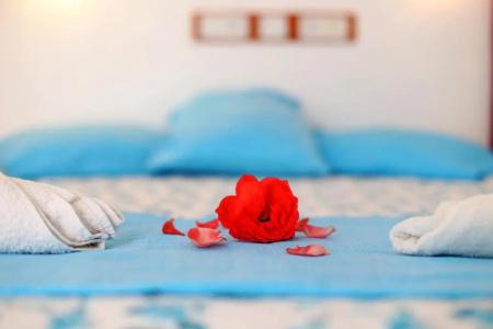 Rose B&B - 77