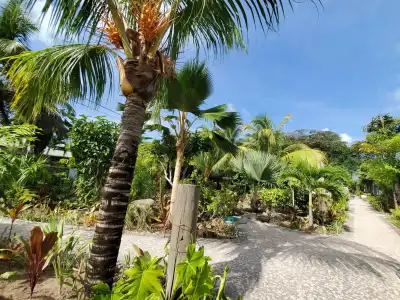 Cabanes des Anges - 13