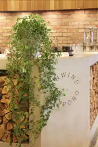 Unwind & Bar Sapporo - 15