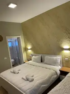 Arial Penthouse Suites - 208
