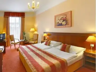 Danubius Health Spa Resort Centrální Lázne - 49