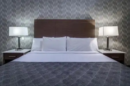 Monte Carlo Inn Toronto - Markham - 44