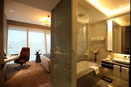 VIP - 29