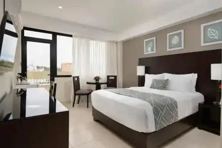 Centro Plaza Hodelpa - 61