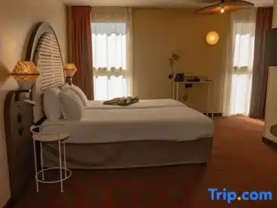 Mercure Arles Centre Arenes - 50