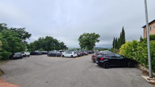 Saturnia Tuscany - 113