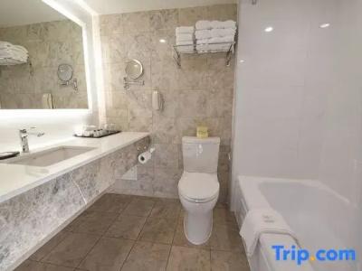 Sheraton Laval - 48