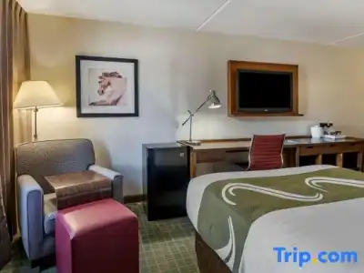 Quality Inn Lexington -Horse Park - 36
