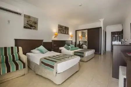 Kleopatra Royal Palm - 6