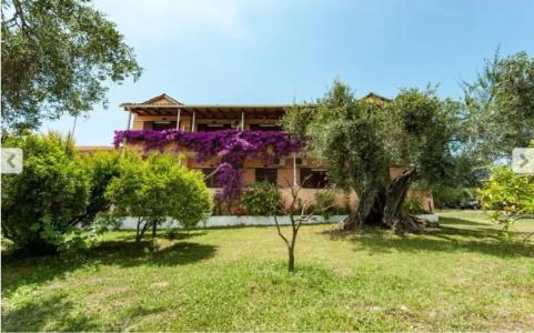 Marilena Apartments & Studios - 52