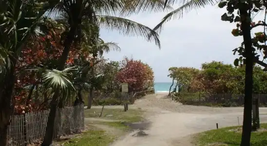 Beach Corner Miami Beach - 14