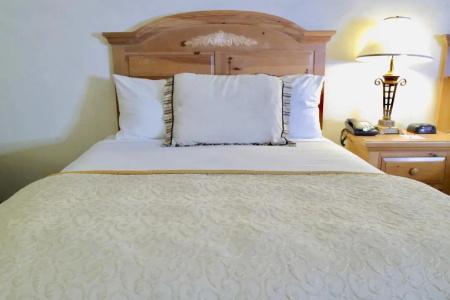 Ramada & Conference Center by Wyndham Las Cruces - 16