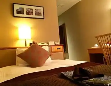 Hikone Castle Resort & Spa - 21