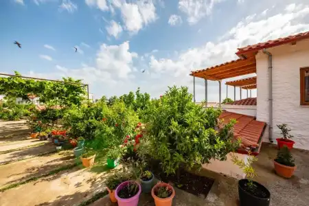 Guest House Luiza - 14