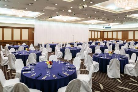 ANA Crowne Plaza Sapporo by IHG - 19