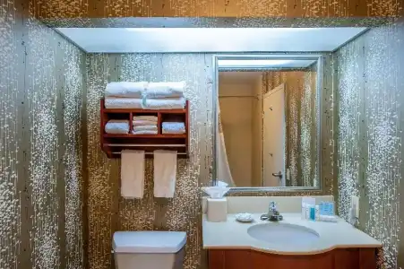 Hampton Inn by Hilton Bowling Green - 44