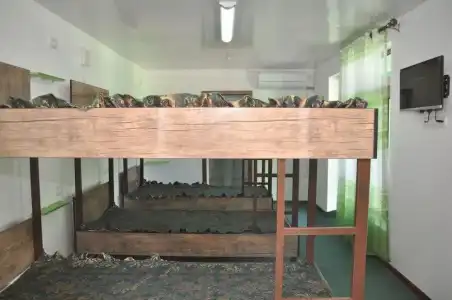 Green House Bukhara - Hostel - 18