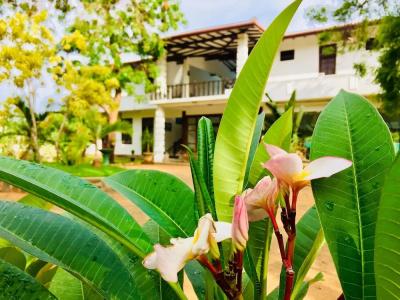 Saman Resort - 39