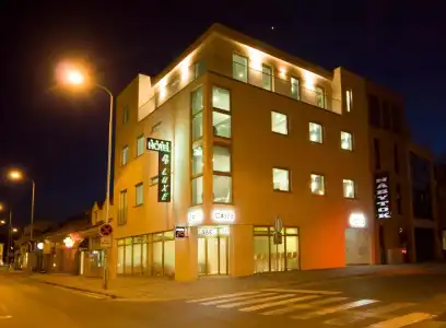 Deluxe with Free Wellness and Fitness Centrum - 0