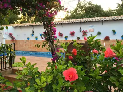 Carmen Teresa - 16