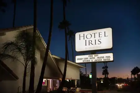 Iris - San Diego - 1