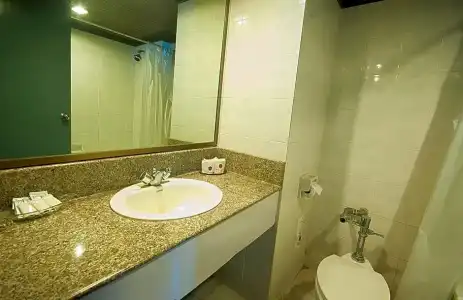 Grand Plaza - 43