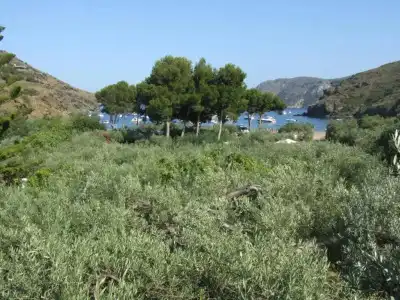 Cala Joncols - 24