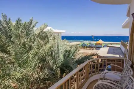 Shams & Dive Centre - 14