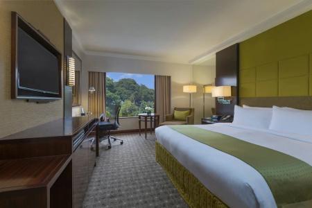Holiday Inn Singapore Orchard City Centre by IHG - 50