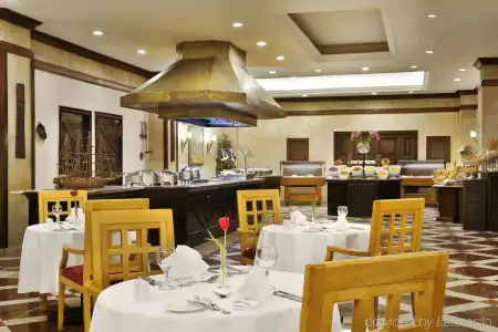 Hilton Alexandria Green Plaza - 20