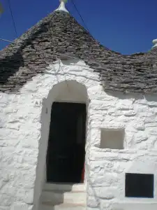 Trullidea  - 0