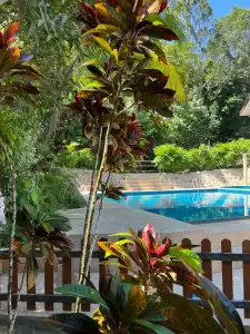 Island View Resort & Spa - 8