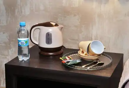 Tsentralny Mini-Hotel - 56