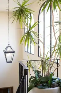 Tornabuoni Suites Collection - 24