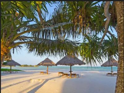 Pongwe Bay Resort - 51