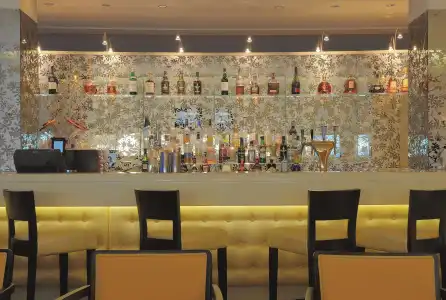 Radisson Blu, St. Gallen - 4