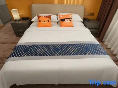 SciTechˑChina NARADA - 29