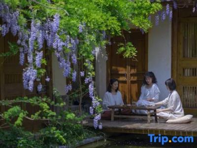 My Love Inn - 31