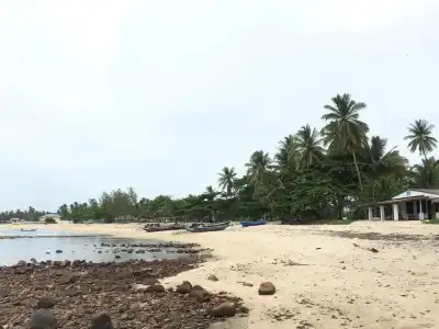 Sea Stone - 10