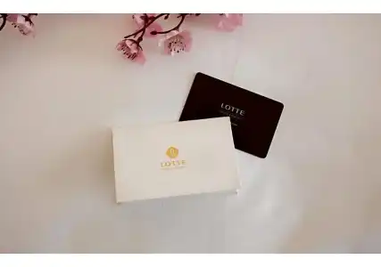 Lotte Saigon - 52