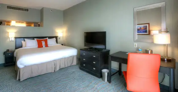 DoubleTree by Hilton Phoenix North - 28