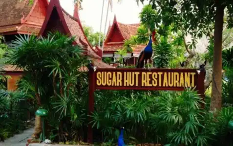 Sugar Hut 1984 - 48