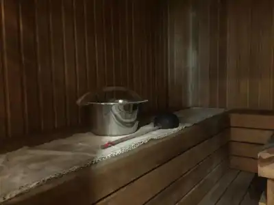 Ristiku Guesthouse - 1